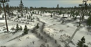 Graviteam Tactics: Black Snow