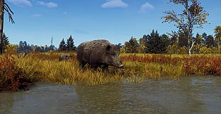 Way of the Hunter - Lintukoto Reserve