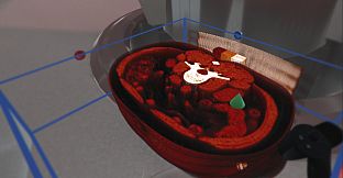 The Body VR: Anatomy Viewer