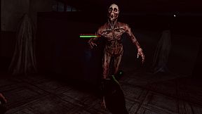 VR Mad Asylum