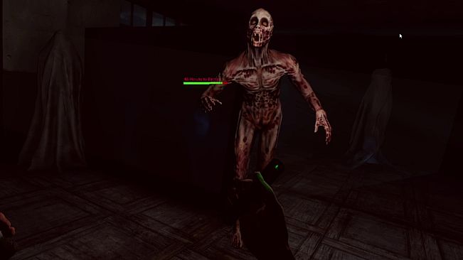 VR Mad Asylum