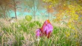 Hidden Treasures in the Forest of Dreams