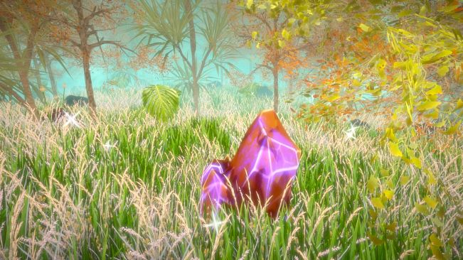 Hidden Treasures in the Forest of Dreams