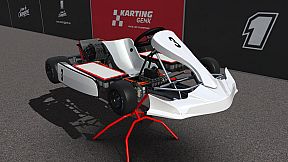 Kart Racing Pro