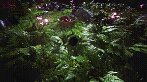 Black Hole Simulation with Python