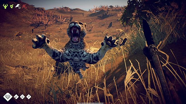 Survival: Fountain of Youth - Captain's Edition