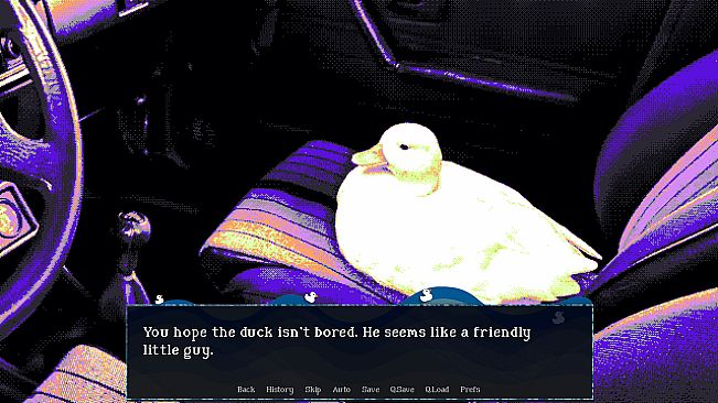 A Road Trip With a Duck