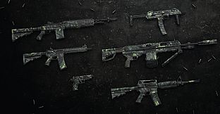 Insurgency: Sandstorm - Overrun Set Bundle