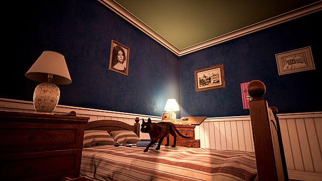 Cat Simulator - Kitty Conundrums