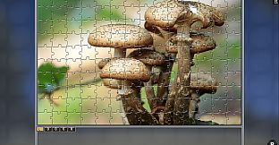 Jigsaw Puzzle Pack - Pixel Puzzles Ultimate: Variety Pack 21