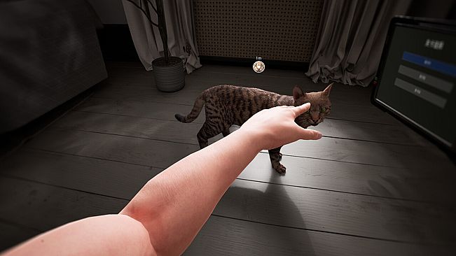 猫咪漂移 Cat Drift