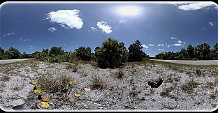 Exhale XR - Critter Watch