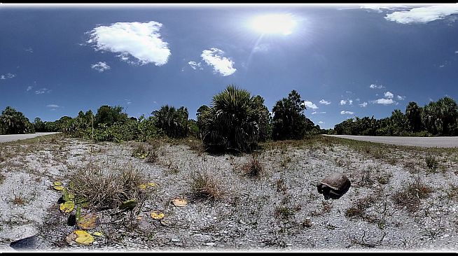 Exhale XR - Critter Watch