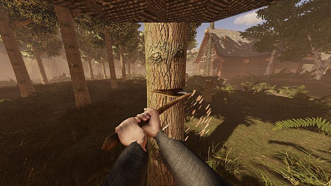 They are in the Trees