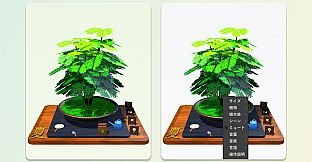 Little Pot, Big Seasons