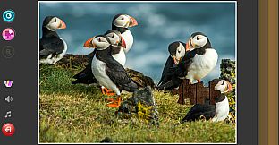 Nature & Wildlife - Jigsaw Puzzle - Expansion Pack 1