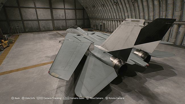 ACE COMBAT 8 - Playable Aircraft: F-14A