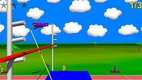 Wild Animal Sports Day