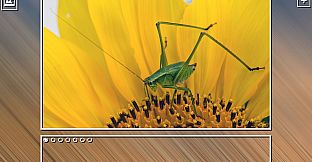 Super Jigsaw Puzzle: Generations - Bugs Puzzles