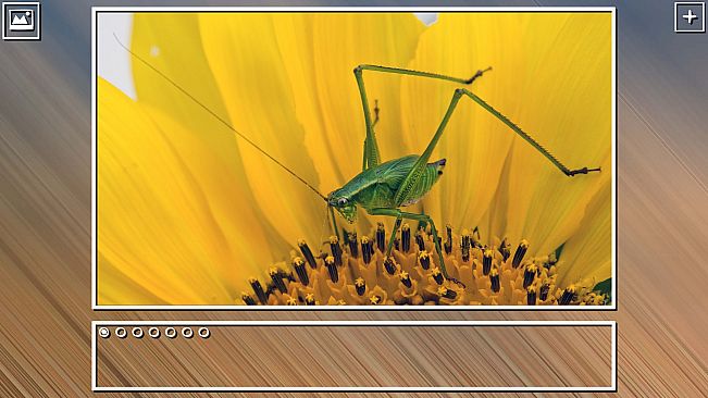 Super Jigsaw Puzzle: Generations - Bugs Puzzles