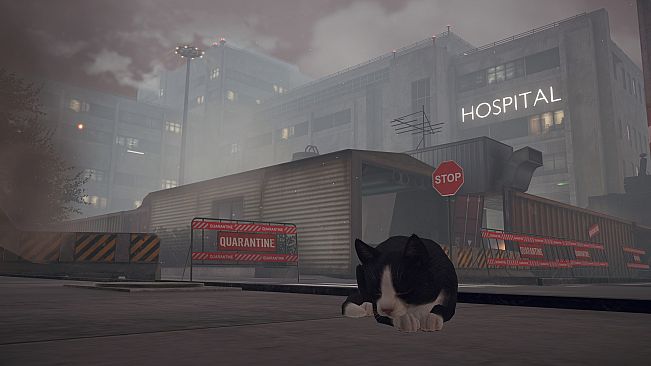 Little Strays 2: Cat Rescue