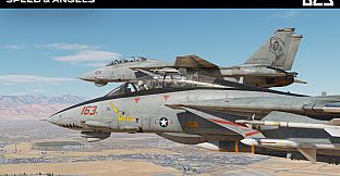 DCS: F-14B Speed and Angels Campaign