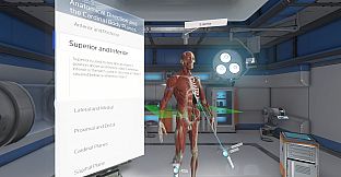 The Physiology of the Eye