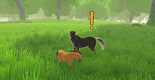 Storm Horse Simulator