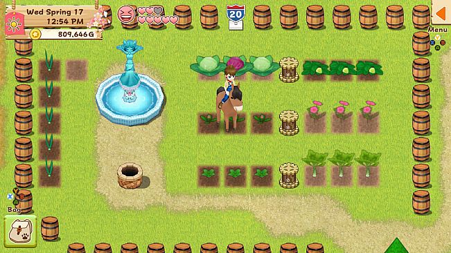 Harvest Moon: Light of Hope Special Edition - Decorations & Tool Upgrade Pack