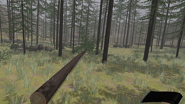 Forest Construction VR