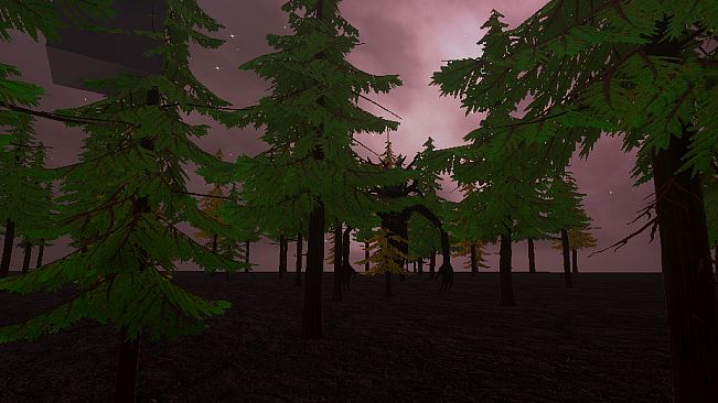 高度標高林間臨海臨界活動限界公園