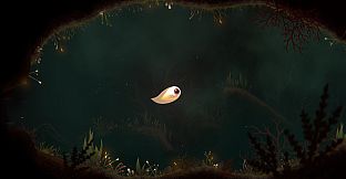 Evolution From the little light