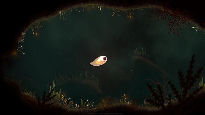 Evolution From the little light