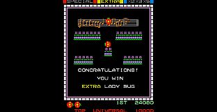 Arcade Archives 2 Lady Bug