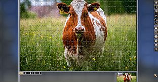 Pixel Puzzles Traditional Jigsaws Pack: Variety Pack 10