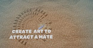 Creaturing - Sea Wonders