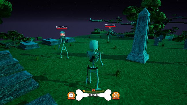 Bony Bones Adventures