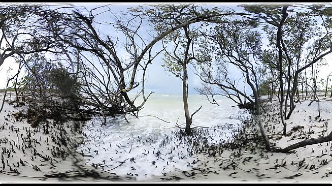 Exhale XR - Serenities Door