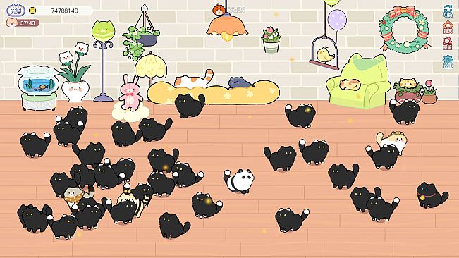 猫语拾光 Cat And Life