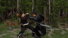 Shaolin vs Wutang Legends