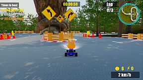 Retro Karting 22