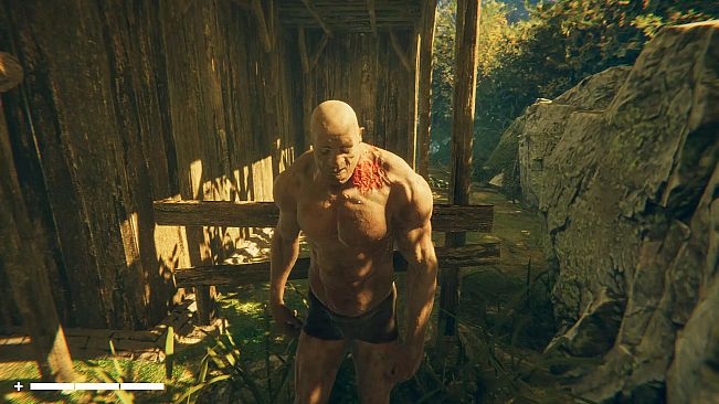 Singularity - 奇异岛