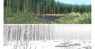 The Art of Pine: A Story of Loss