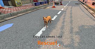 Rescue Over 100 Town Cats