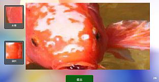 PhotoGuessr