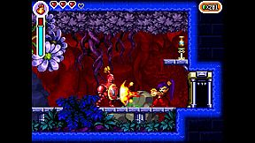 Shantae: Risky's Revenge - Director's Cut