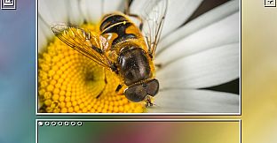 Super Jigsaw Puzzle: Generations