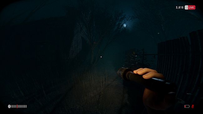 Have Fun Exploring