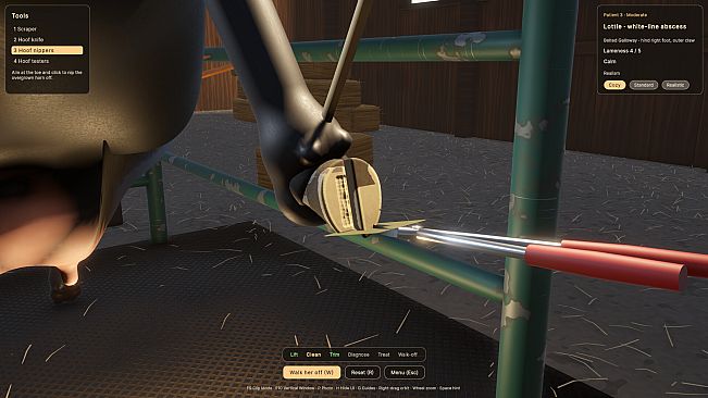 Hoof Trimmer Simulator