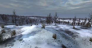 Graviteam Tactics: Raid